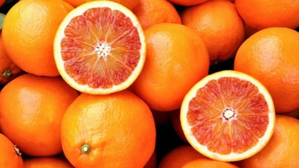 Bio-Orangen